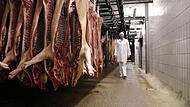 Schweinehälften im mittlerweile geschlossenen Bamberger Schlachthof