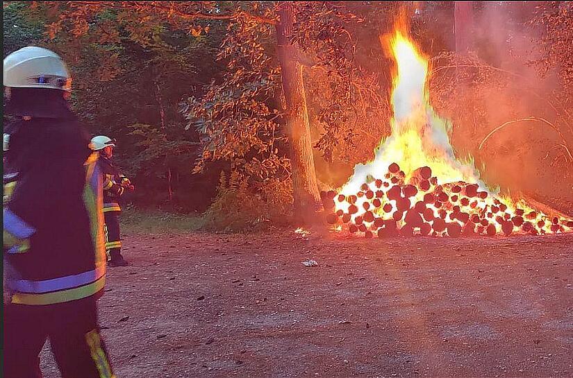Fünf Kubikmeter Holz im Vollbrand: Nur gut, dass die Feuerwehr am 20. Juli im Wald bei Hohenstein  schnell eingreifen konnte.