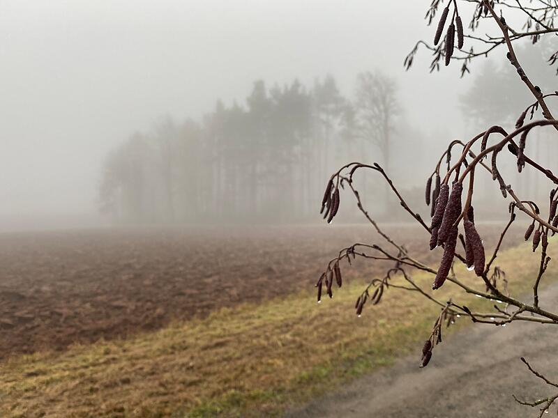 Umstellung auf Winterzeit: Worauf wir uns in Coburg freuen