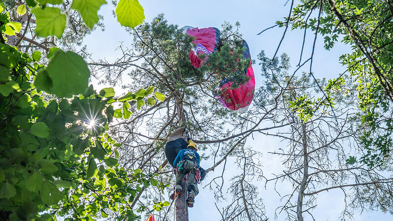 Ein Baumkletterer der Bergwacht stieg zum Verungl&uuml;ckten empor und seilte ihn zusammen mit weiteren Einsatzkr&auml;ften der Bergwacht ab.