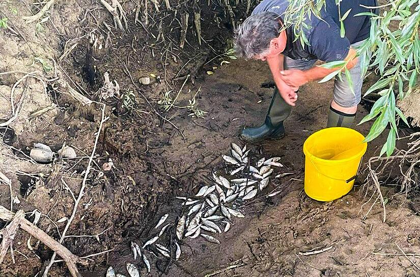 Reinhold Maier begutachtet die Katastrophe im Hallstadter G&uuml;ndleinsbach.
