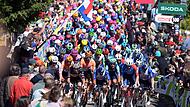 UCI WorldTour - Fl&egrave;che Wallonne