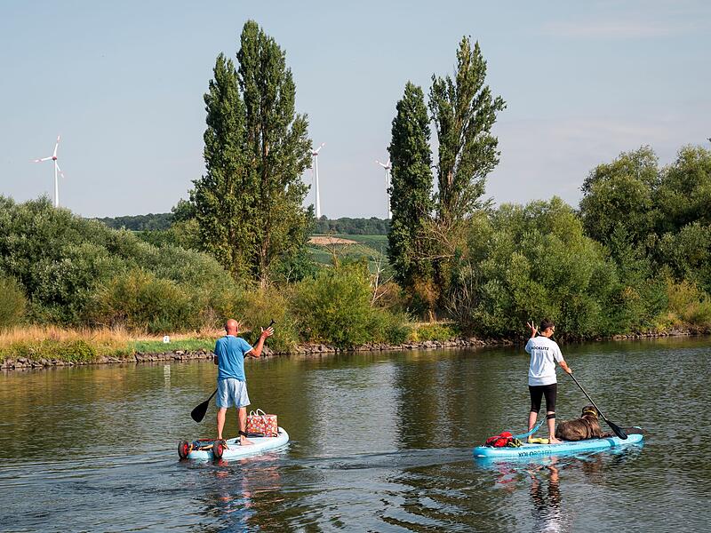Darum ist die Hitze f&uuml;r Main und Donau kritisch
