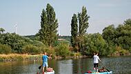 Darum ist die Hitze f&uuml;r Main und Donau kritisch