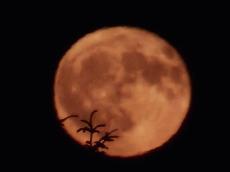Erdbeermond über Steinbach am Wald