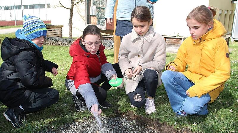 Emil Eberhardt, Emma Wienarick, Anastasia Ivahov und Johanna Matezky s&auml;en die vorbereiteten Blumensamen im Schulgarten aus.