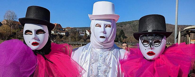 Impressionen vom Faschingszug in Steinach.