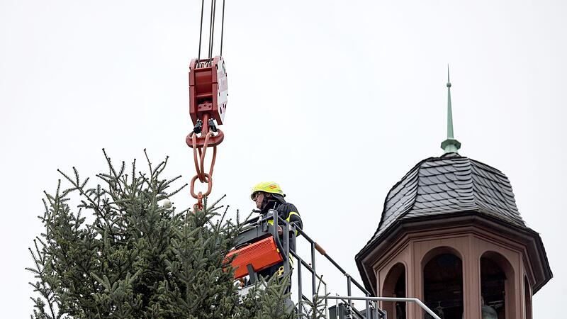 Weihnachtsbaum auf dem Frankfurter Römerberg wird aufgestellt