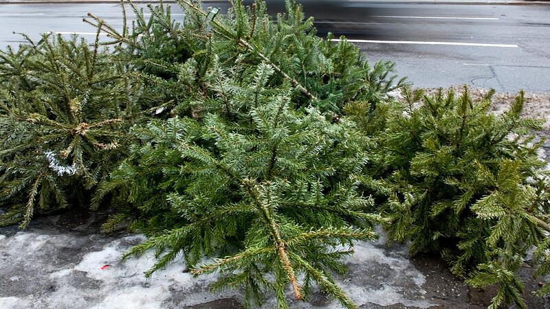 Im Landkreis Forchheim bieten verschiedene Organisationen wie Sportvereine oder Feuerwehren gemeinn&uuml;tzige Sammlungen an.Forchheim & Fr&auml;nkische Schweiz