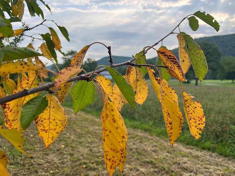 Der Herbst steht vor der TürForchheim & Fränkische Schweiz