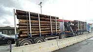 Überladener Holztransporter Ludwigsstadt