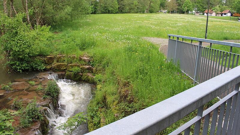 Die Wiese zwischen Sinn, Bauhof und Backhaus soll umgestaltet werden.