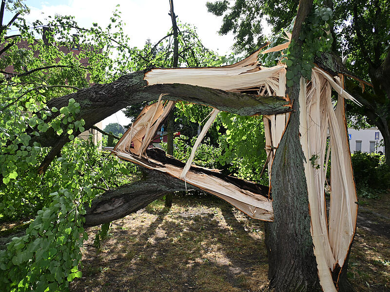 Sturmschäden LaurenziplatzSturmschäden am Laurenziplatz u.a.