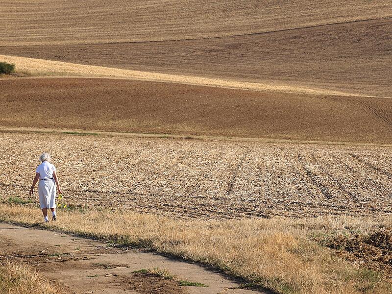 Nicht Indien, sondern Waldbrunn im Landkreis Würzburg: Eine Frau läuft zwischen trockenen Feldern.&nbsp;