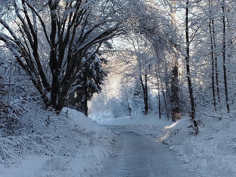 Leserfotos: So sch&ouml;n ist der Frankenwald im SchneeLeserfotos Schnee Januar 2026