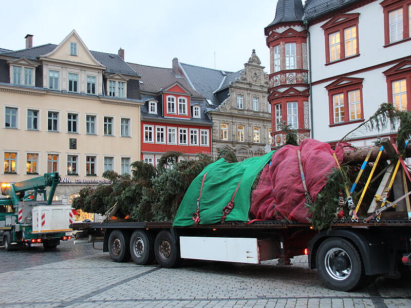 Der Coburger Weihnachtsbaum 2023 ist da