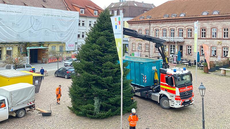 Christbaum Hammelburg 2025