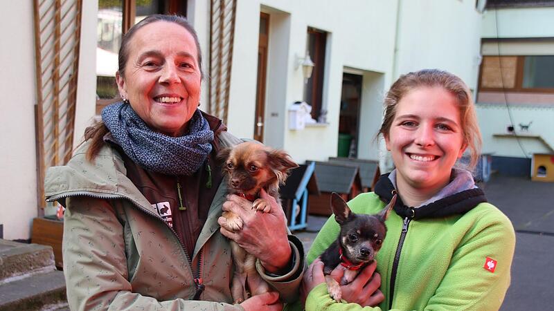 Tierheimleiterin Ursula Boehm (links) und ihre Stellvertreterin Luci Schr&ouml;der (rechts) zeigen zwei ehemalige Tierheimbewohner.