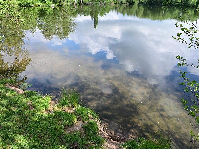 An dieser Stelle am Weiher in Baiersdorf befand sich einst ein Sandstrand, der jedoch zur&uuml;ckgebaut wurde.