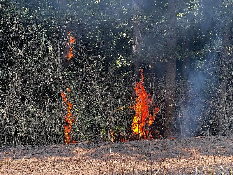 Feldbrand weitet sich zu Waldbrand aus