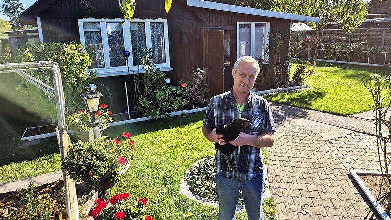 Mit seinen 24 Hühnern genießt Andreas Maier seit 22 Jahren die Ruhe in seinem Schrebergarten im Bamberger Gleisdreieck. Wie lange noch? Mit seinen 24 Hühnern genießt Andreas Maier seit 22 Jahren die Ruhe in seinem Schrebergarten im Bamberger Gleisdreieck. Wie lange noch?