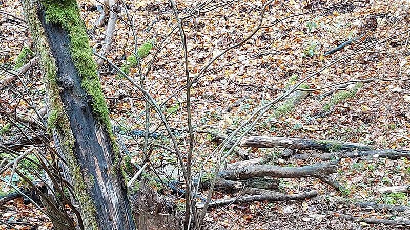 Nach der SprengungForchheim & Fränkische Schweiz