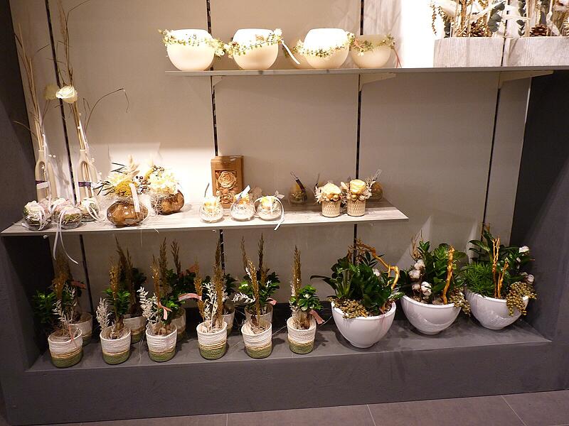 Ein Rundgang in Fotos: Das Angebot in den neuen Gesch&auml;ftsr&auml;umen von Blumen Lechner in H&ouml;chstadt