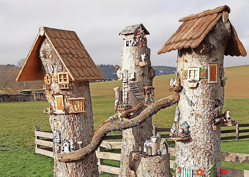 Gesamtanblick der sogenannten Zwergenbäume.