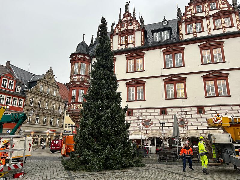 Coburger Weihnachtsbaum