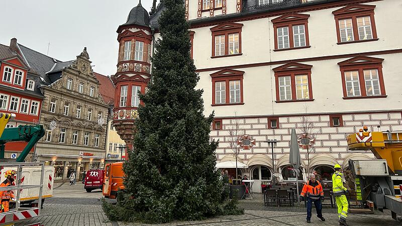 Coburger Weihnachtsbaum