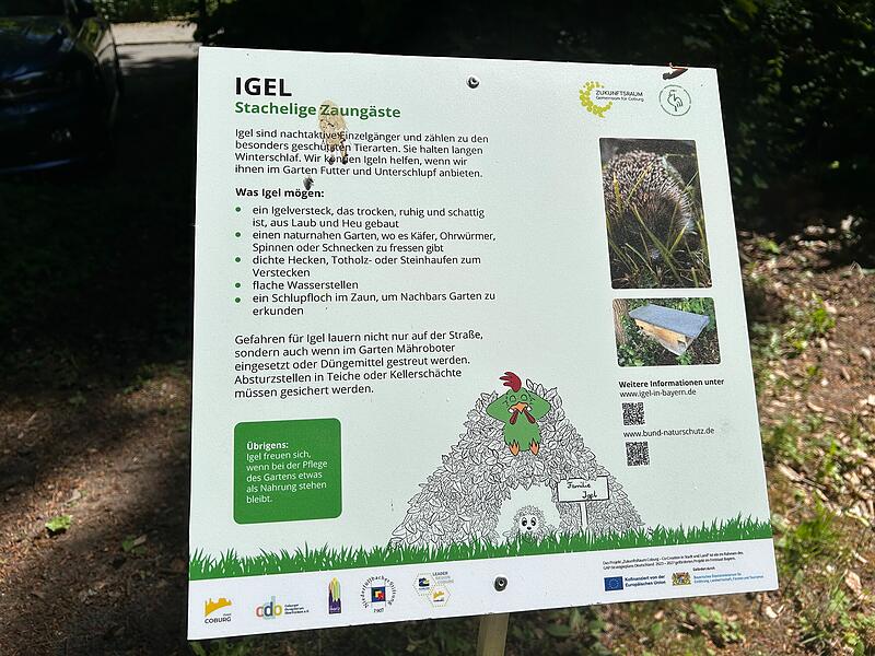 Zeigen, wie leicht Naturschutz sein kann: Contakt-Garten in Coburg eröffnet