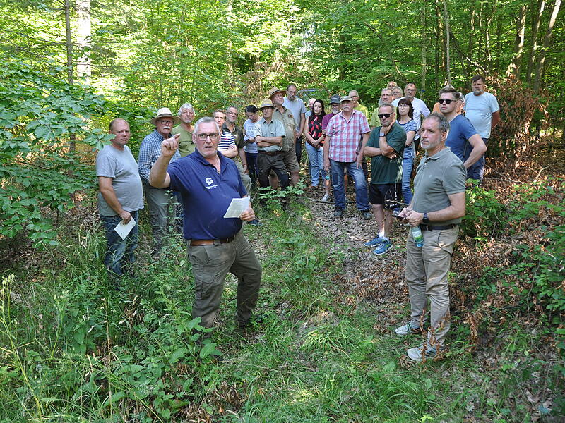 Waldbegang Sulzthal Waldbegang Sulzthal