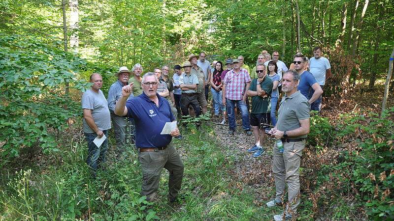 Waldbegang Sulzthal Waldbegang Sulzthal