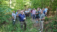 Waldbegang Sulzthal