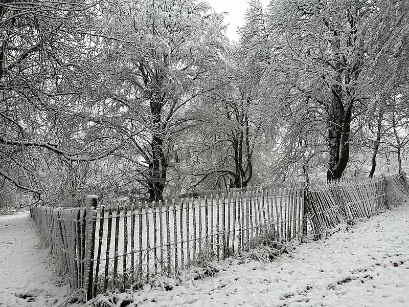 Spaziergang durch den verschneiten Hofgarten in Coburg