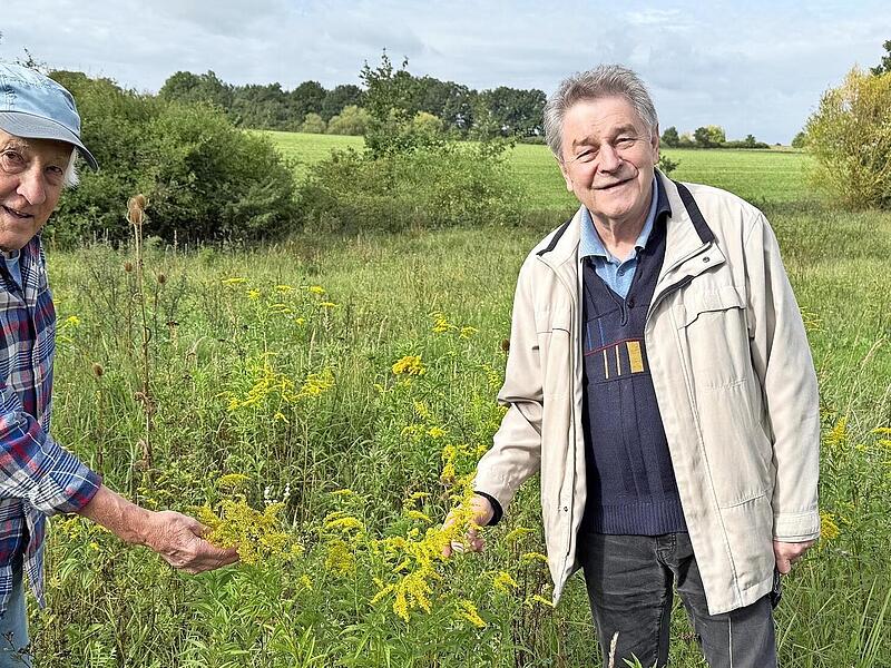 Hans Krautblatter (l.) und Helmut König inspizieren die Wiese.