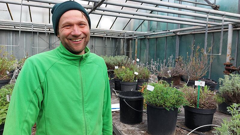 Cannabis-Legalisierung: Bamberger Anbauclubs stehen in den Startlöchern