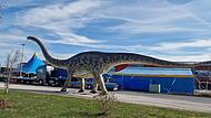 Ein Dinosaurier in Kulmbach? &ndash; Ja, die Urzeit-Giganten sind vom 24. April bis 3. Mai hier zu Gast.