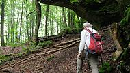 Bernhard Pabst beim Aufstieg zum H&ouml;llenloch, vorbei am &bdquo;steinernen Krokodil&ldquo;Forchheim & Fr&auml;nkische Schweiz