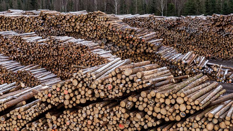 Sägewerk Ziegler Group