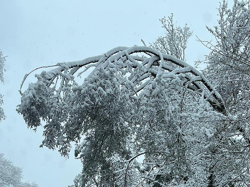 So sch&ouml;n ist die Fr&auml;nkische Schweiz im ersten Schnee der Saison 2023/24
