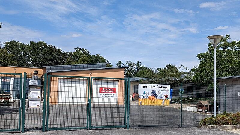 Das Tierheim auf der Brandensteinsebene geh&ouml;rt der Stadt Coburg. Der Tierschutzverein ist f&uuml;r den Betrieb zust&auml;ndig &ndash; im Auftrag der Stadt und der Landkreisgemeinden.