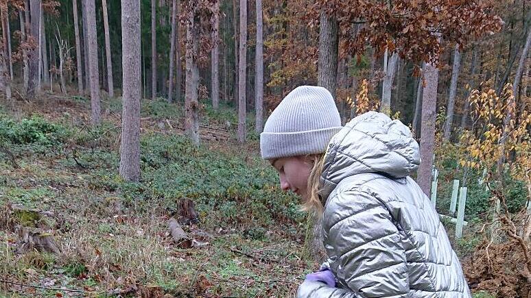 Die Natur als Klassenzimmer: Schüler der Mittelschule Scheßlitz bei der Waldaktion.
