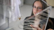 251006_spinnenangst_studie_uni_dsc_3417.jpg