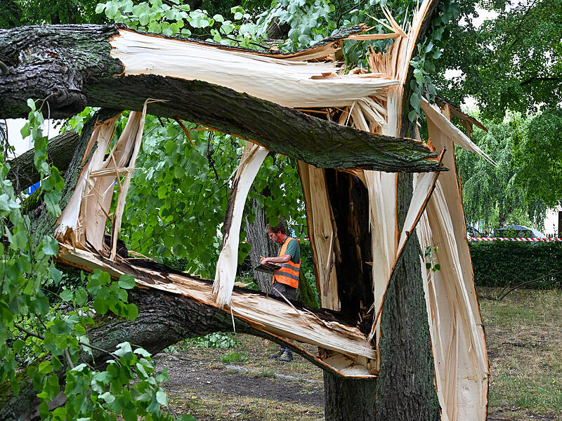 Sturmschäden LaurenziplatzSturmschäden am Laurenziplatz u.a.