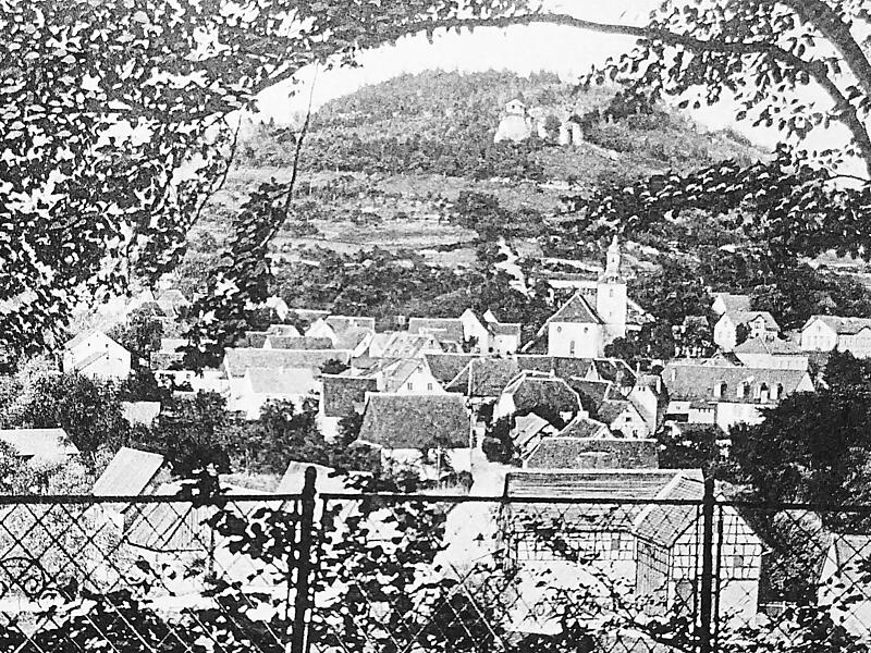 Muggendorf um 1900: Anlage von Spazier- und Wanderwegen.