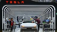 Tesla-Werk Gr&uuml;nheide