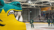 Die Eishockey-Saison im Stadion am Kieferndorfer Weg hat begonnen,