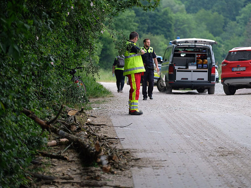 Umst&uuml;rzender Baum trifft Familie: 8-j&auml;hriges Kind verstorbenForchheim & Fr&auml;nkische Schweiz