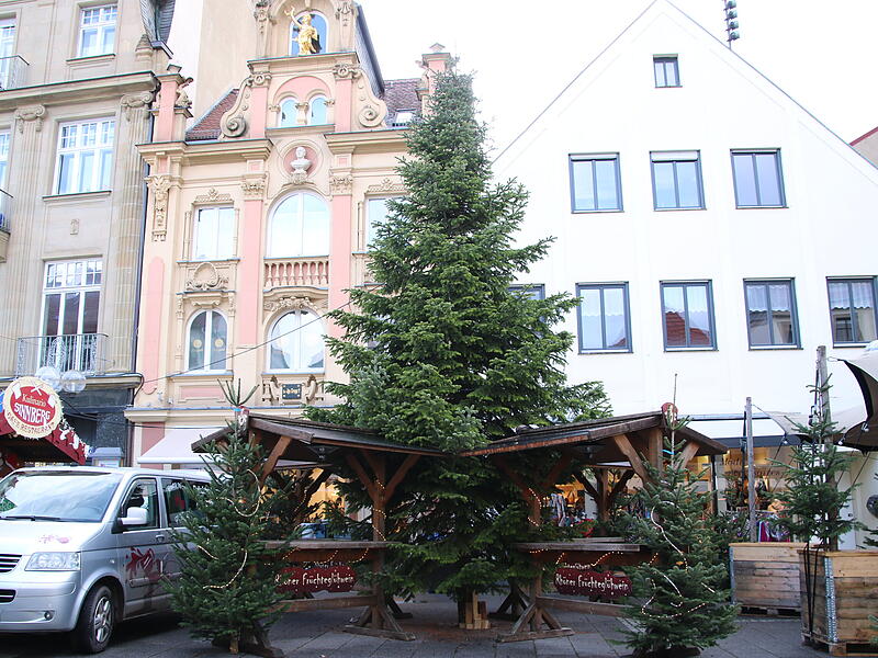 Die Nordmanntanne auf dem Marktplatz in Bad Kissingen umringt von kleineren B&auml;umen